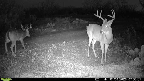 120 County Road 306 Lohn TX 76852