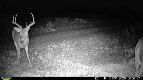 120 County Road 306 Lohn TX 76852