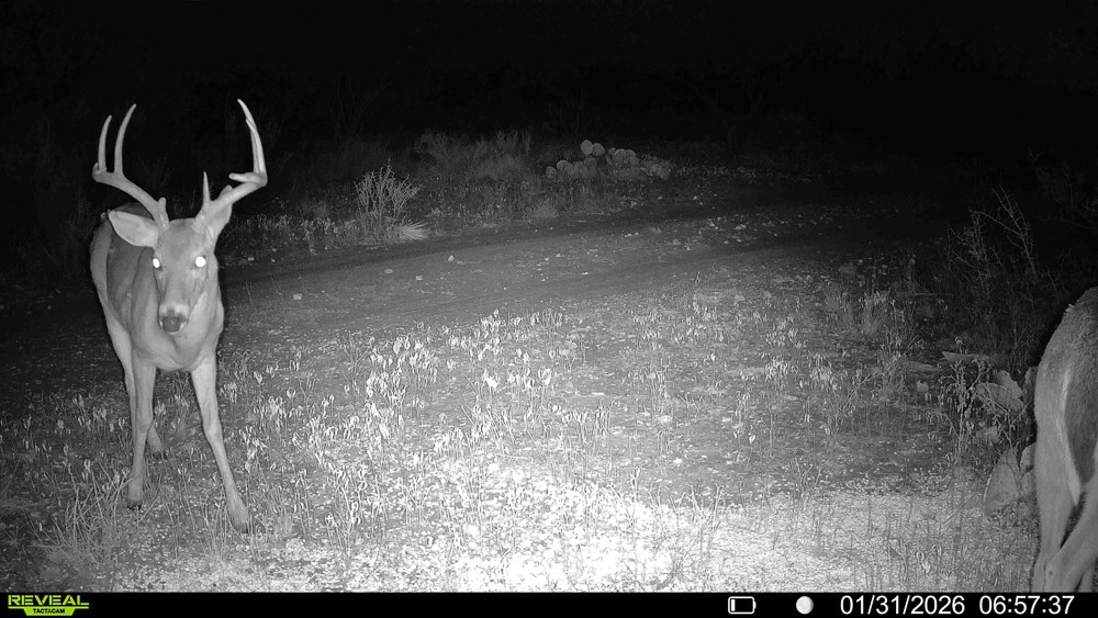 120 County Road 306 Lohn TX 76852