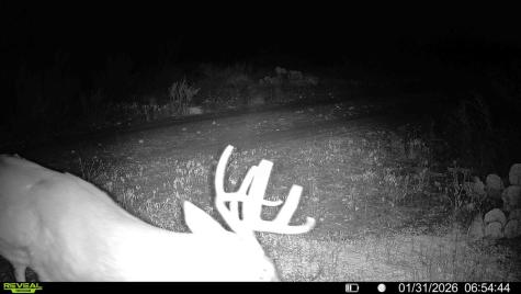 120 County Road 306 Lohn TX 76852