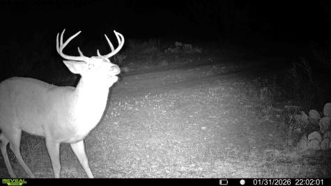 120 County Road 306 Lohn TX 76852