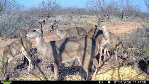 120 County Road 306 Lohn TX 76852