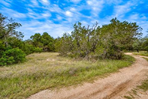 1365 Pedernales Hills Drive Johnson City TX 78636