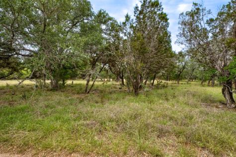 1365 Pedernales Hills Drive Johnson City TX 78636