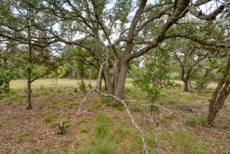 1365 Pedernales Hills Drive Johnson City TX 78636