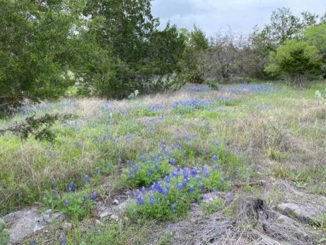 1365 Pedernales Hills Drive Johnson City TX 78636