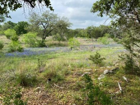 1365 Pedernales Hills Drive Johnson City TX 78636