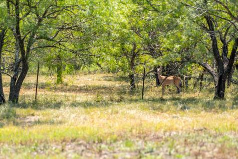 Lot 2 Mariposa Drive Fredericksburg TX 78624