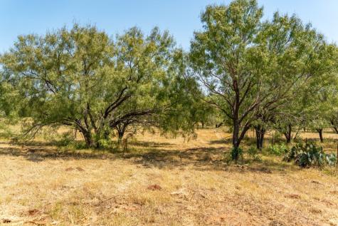 Lot 2 Mariposa Drive Fredericksburg TX 78624