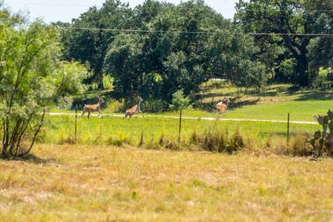 Lot 2 Mariposa Drive Fredericksburg TX 78624