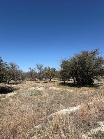 Lot 4 Scott Branch Road Harper TX 78631