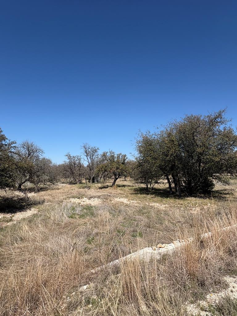 Lot 4 Scott Branch Road Harper TX 78631