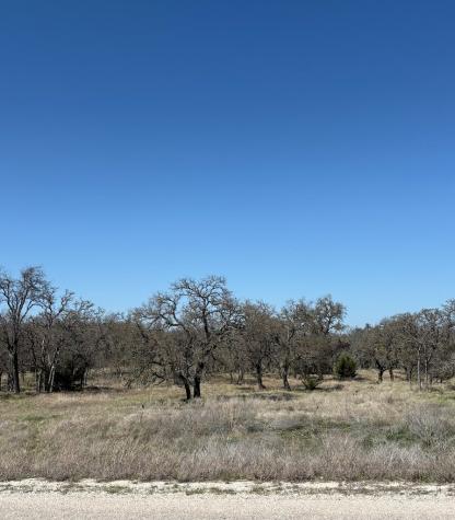 Lot 4 Scott Branch Road Harper TX 78631