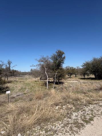 Lot 4 Scott Branch Road Harper TX 78631