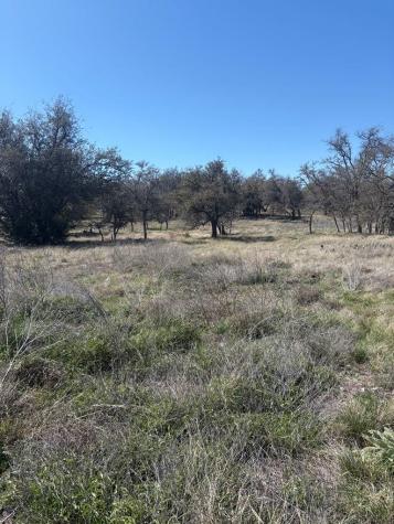 Lot 4 Scott Branch Road Harper TX 78631