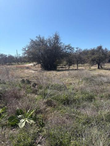 Lot 4 Scott Branch Road Harper TX 78631