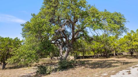 Tract 3 Of 5818 Ranch Road 165 Blanco TX 78606