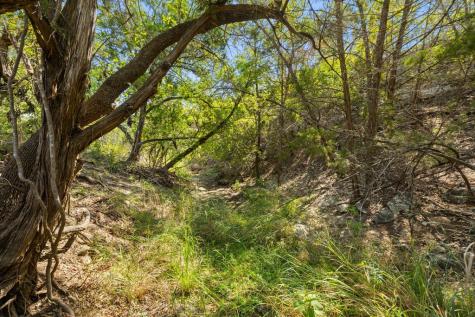 Tract 3 Of 5818 Ranch Road 165 Blanco TX 78606