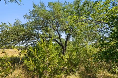 Tract 3 Of 5818 Ranch Road 165 Blanco TX 78606