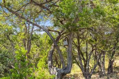Tract 3 Of 5818 Ranch Road 165 Blanco TX 78606