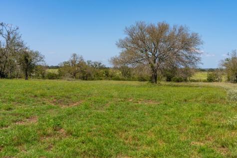 14 Vintners Way Fredericksburg TX 78624