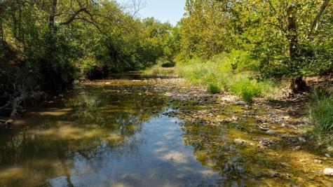 14 Vintners Way Fredericksburg TX 78624
