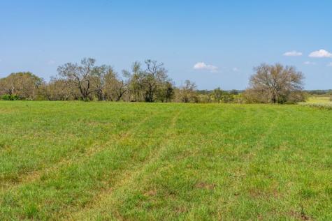 14 Vintners Way Fredericksburg TX 78624