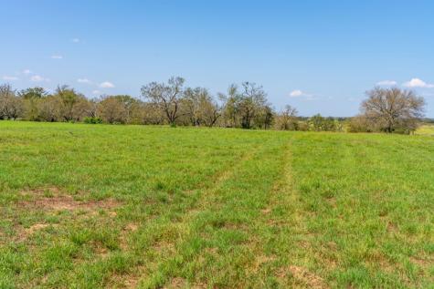 14 Vintners Way Fredericksburg TX 78624