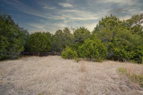 1055 Cielo Springs Drive Blanco TX 78606