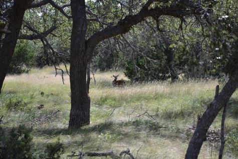 1000 Duderstadt Road Harper TX 78631
