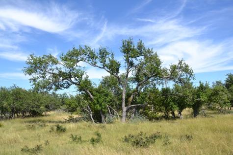 1000 Duderstadt Road Harper TX 78631