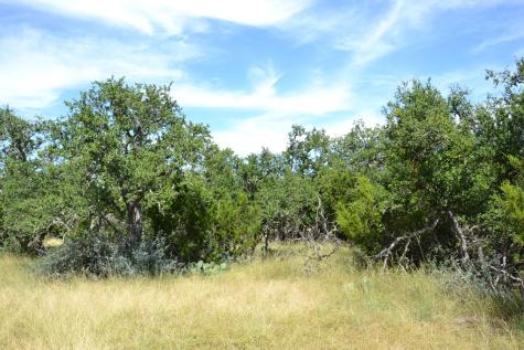 1000 Duderstadt Road Harper TX 78631