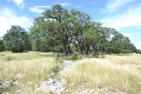 1000 Duderstadt Road Harper TX 78631