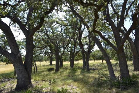 1000 Duderstadt Road Harper TX 78631
