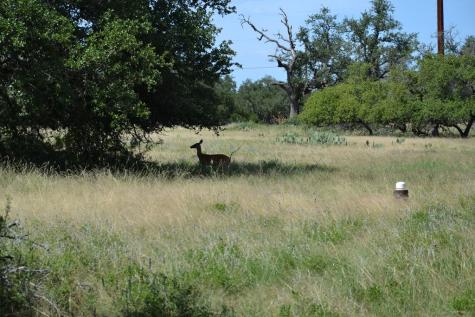 1000 Duderstadt Road Harper TX 78631