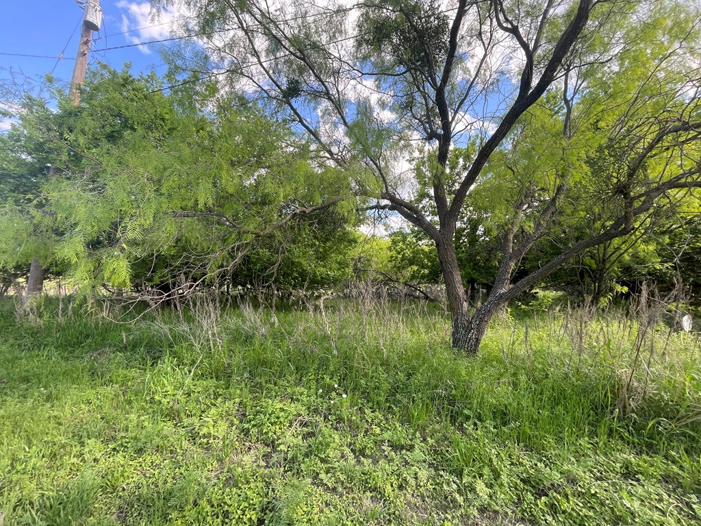 411 Front Street Menard TX 76859