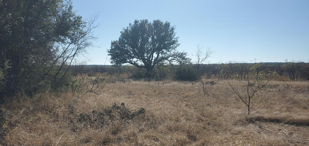 54 Dry Creek Road Fort Mckavett TX 76841