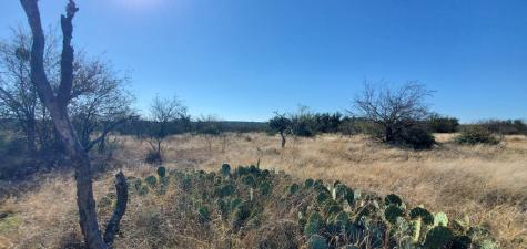 54 Dry Creek Road Fort Mckavett TX 76841