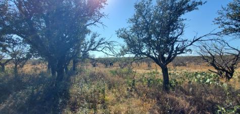 54 Dry Creek Road Fort Mckavett TX 76841