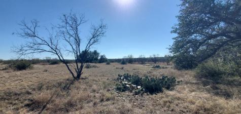 54 Dry Creek Road Fort Mckavett TX 76841