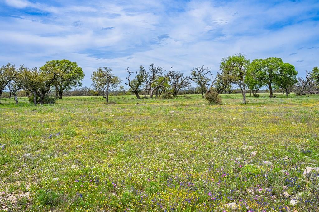 Lot 18 Goose Landing Way Harper TX 78631