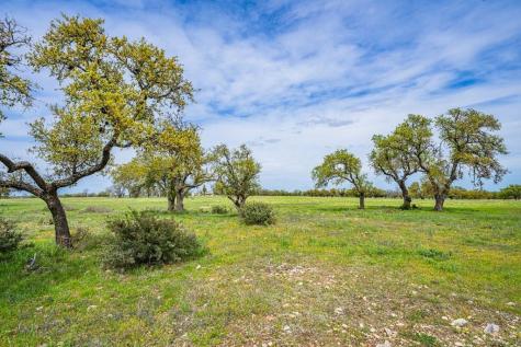 Lot 18 Goose Landing Way Harper TX 78631