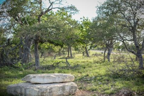 Lot 116 Majestic Hills Drive Blanco TX 78606