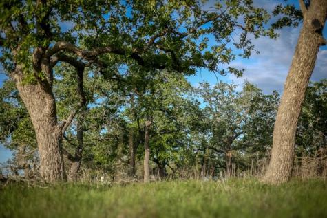 Lot 116 Majestic Hills Drive Blanco TX 78606