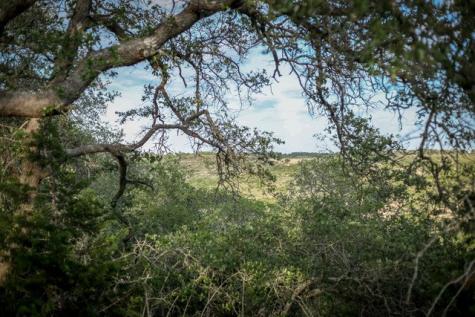 Lot 116 Majestic Hills Drive Blanco TX 78606