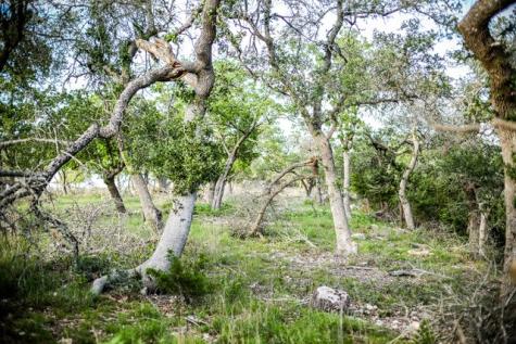 Lot 116 Majestic Hills Drive Blanco TX 78606
