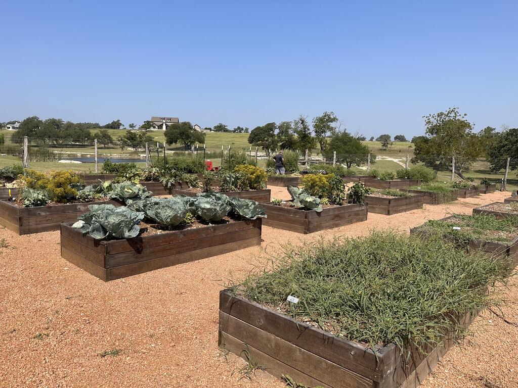 330 Inspiration Loop Fredericksburg TX 78624