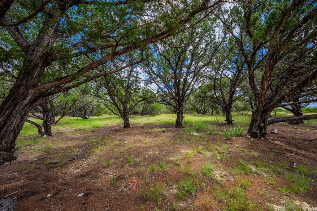 4568 Fm 2828 Bandera TX 78003