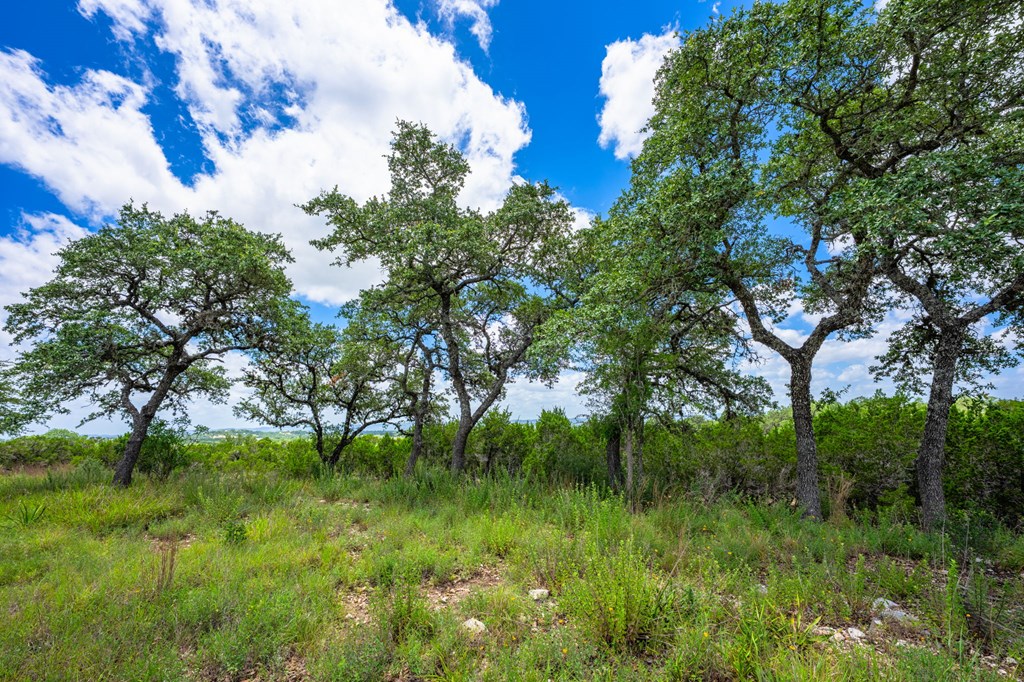 4568 Fm 2828 Bandera TX 78003