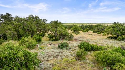 Lot 37 Vista Ridge Drive Round Mountain TX 78663